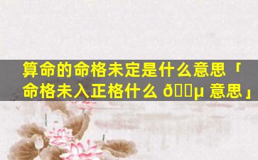 算命的命格未定是什么意思「命格未入正格什么 🌵 意思」